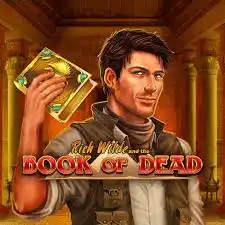 Official Slots logo: Book of Dead by Play&#039;n GO at Kyngs Casino